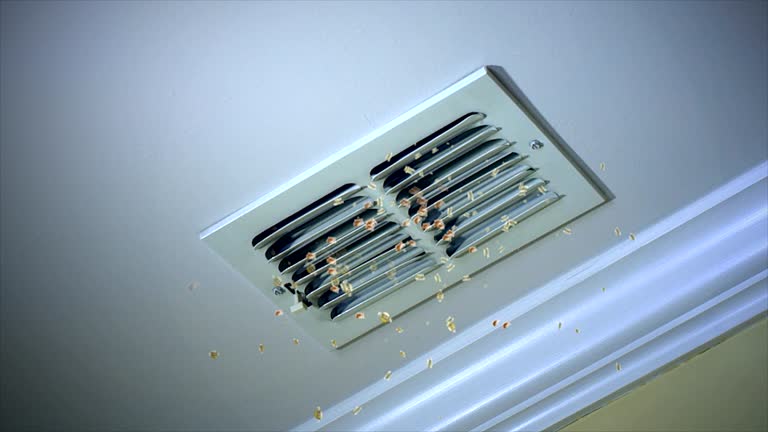 Best Duct Cleaning for Homes  in Cannelton, IN