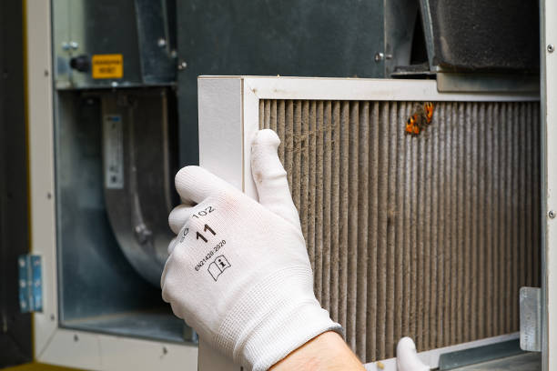Best Home Air Vent Cleaning  in Cannelton, IN